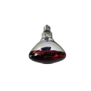 Infrared heat lamp BR38