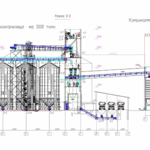 Consulting & Design