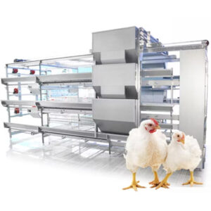 Broiler Cage