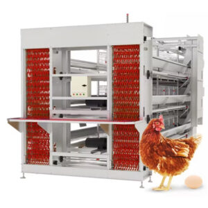 Layer Cage